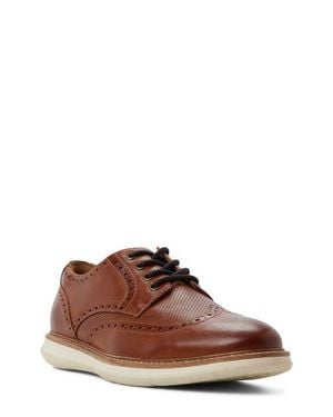 ALDO Dominik Wingtip Derby - Brown