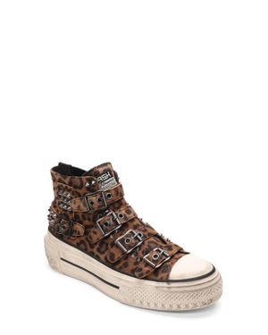 Ash Studs High Top Platform Sneaker - Brown