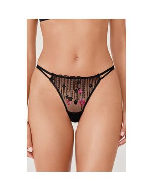 Etam Drama Thong - Brown