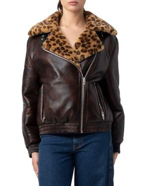 Blank NYC Faux Leather & Faux Shearling Moto Jacket - Black