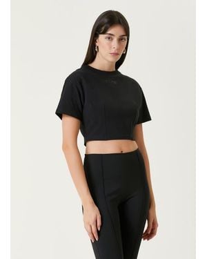 Pcfg Pure Cotton Free Heaven Crop Tshirt - Black