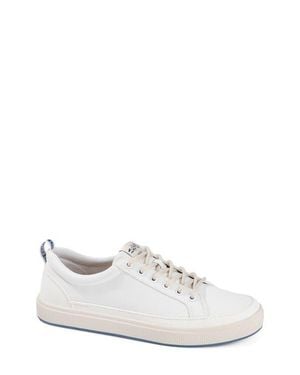 Salt Life The Coast Sneaker - White