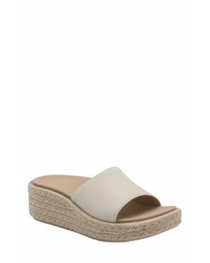 ABEO Solstice Slide - Gray