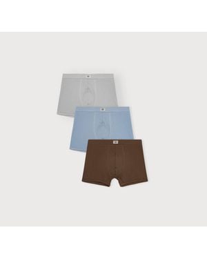 Organic Basics Core Icon Rib Trunks 6-Pack Melange Cloudy Walnut - Blue