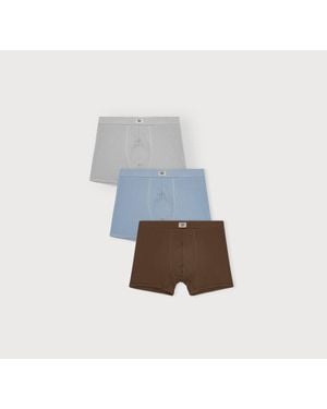 Organic Basics Core Icon Rib Trunks 6-Pack Melange Cloudy Walnut - Blue