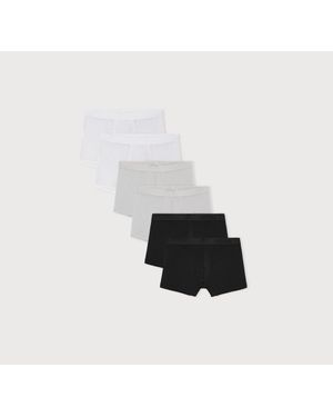 Organic Basics Premium Trunks 6-Pack - White