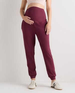 Quince Ultra-Soft Maternity Sweatpants, Recycled Polyester - Red