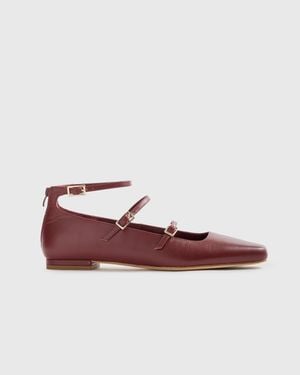 Quince Italian Leather Strappy Ballet Flat - Multicolor