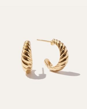Quince Croissant Hoop Earrings - Metallic