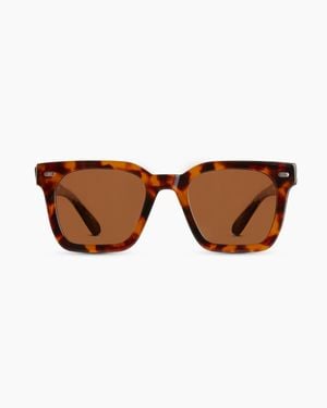 Quince Riley Polarized Acetate Sunglasses, Cellulose Acetate - Brown