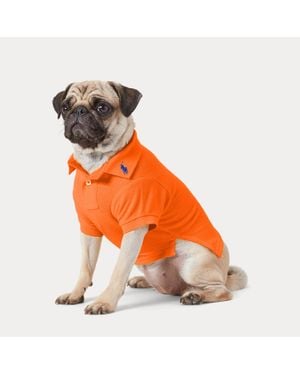 Ralph Lauren Ralph Lauren Cotton Mesh Dog Polo Shirt - Orange
