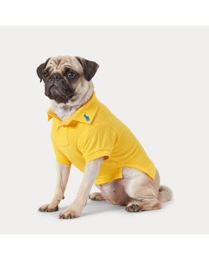 Ralph Lauren Ralph Lauren Cotton Mesh Dog Polo Shirt - Yellow