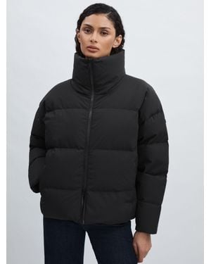 Scandinavian Edition Short Puffer Jacket - Black