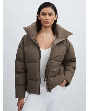 Scandinavian Edition Short Puffer Jacket - Brown