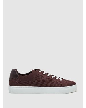 Reiss Finleyted Low-Top Trainers - Brown
