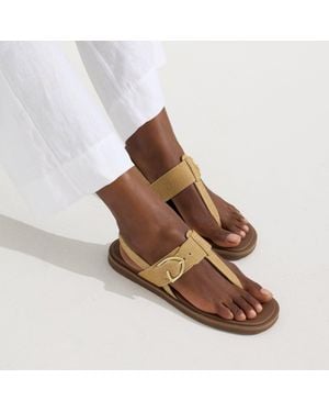 Rothy's The Tstrap Sandal - Brown