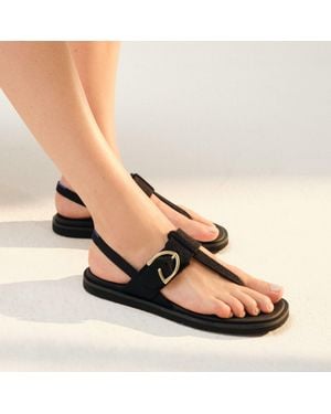 Rothy's The Tstrap Sandal - Black