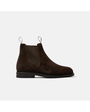 SCAROSSO William Iii Suede - Brown