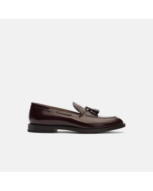 SCAROSSO William Burgundy Bright Loafers - Multicolour