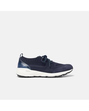 SCAROSSO Robin - Blue