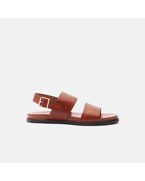 SCAROSSO Antonio Cognac Sandals - Multicolour