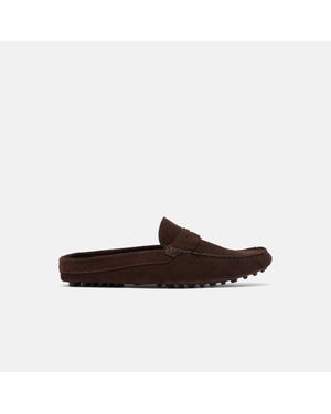 SCAROSSO Omar Taupe Suede Driving Shoes - Black