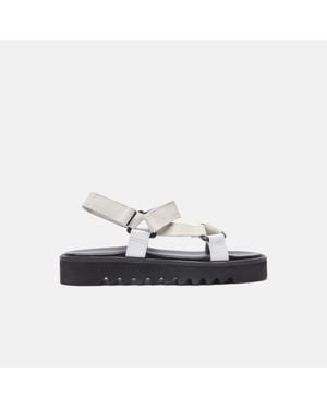 SCAROSSO Wooster V Suede - White