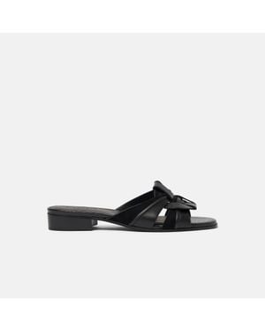 SCAROSSO Anna - Black