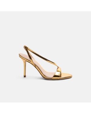 SCAROSSO Paula - Metallic