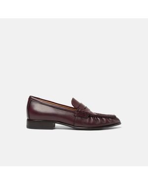 SCAROSSO Mar Burgundy - Brown