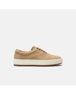 SCAROSSO Luis Nubuck - Natural