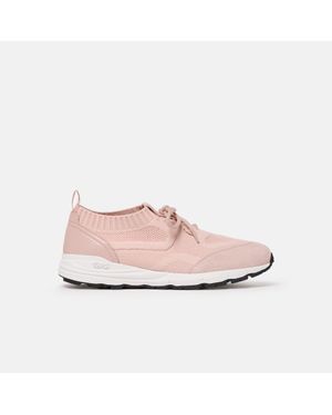 SCAROSSO Robin - Pink