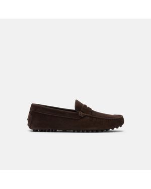 SCAROSSO Michael Brown Suede Driving Shoes - Black