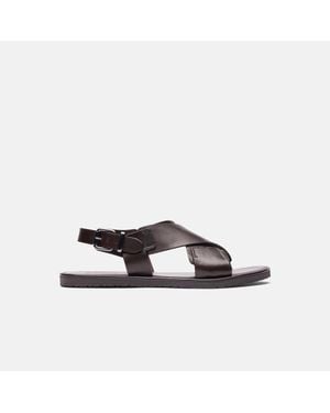 SCAROSSO Massimo - Brown