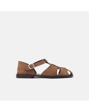 SCAROSSO Apollo Taupe Suede - Brown