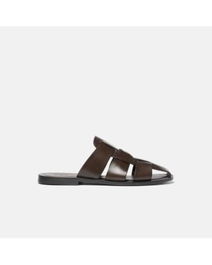 SCAROSSO Perseo - Brown