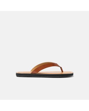 SCAROSSO Ascanio Cognac - Brown