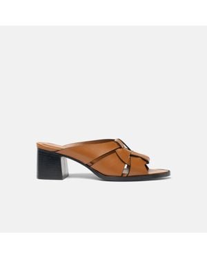 SCAROSSO Aida Cuir - Brown