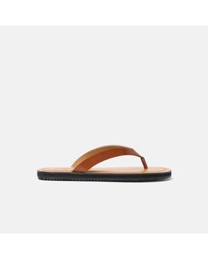 SCAROSSO Ascanio Cognac - Brown