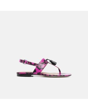 SCAROSSO Emma Fucsia Elaphe - Purple