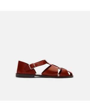 SCAROSSO Apollo Cognac Sandals - Red