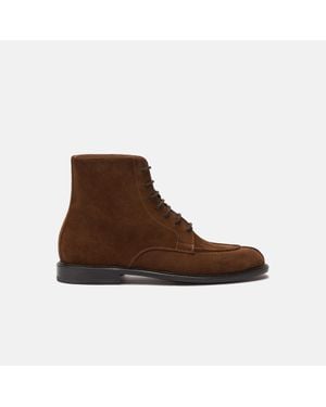 SCAROSSO Ben Suede - Brown