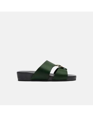 SCAROSSO Dodi - Green