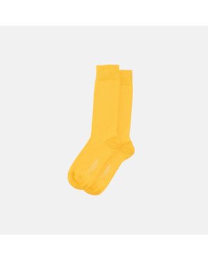 SCAROSSO Cotton Socks - Yellow