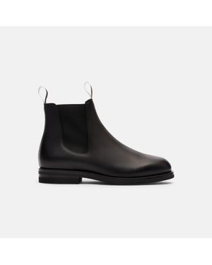SCAROSSO William Iii Suede - Brown