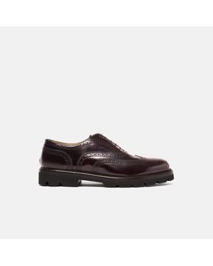 SCAROSSO Preston Burgundy - Brown
