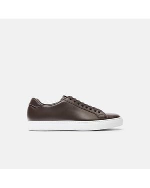 SCAROSSO Ugo Dark - Brown