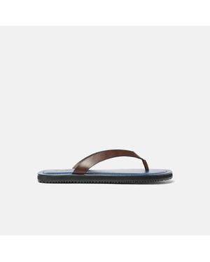 SCAROSSO Ascanio Edit - Brown