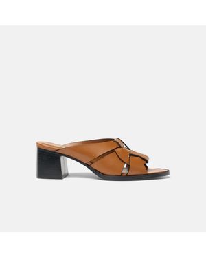 SCAROSSO Aida Cuir - Brown