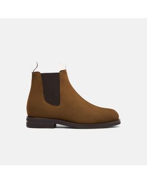 SCAROSSO Edgar Suede - Brown